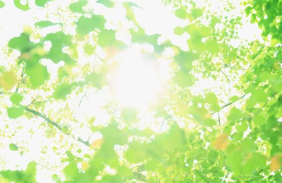 【睡眠相談はこちら】いびきで睡眠の質が低下していると心配なご家族様へ